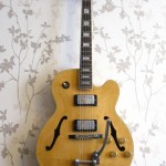 FG100 bigsby