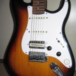 squier-hofner